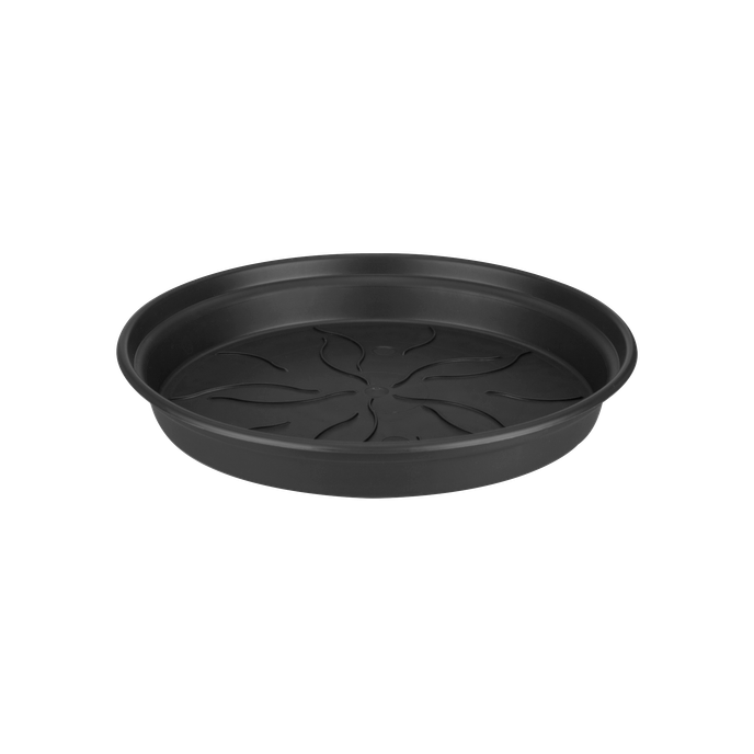 green basics saucer 22cm living black